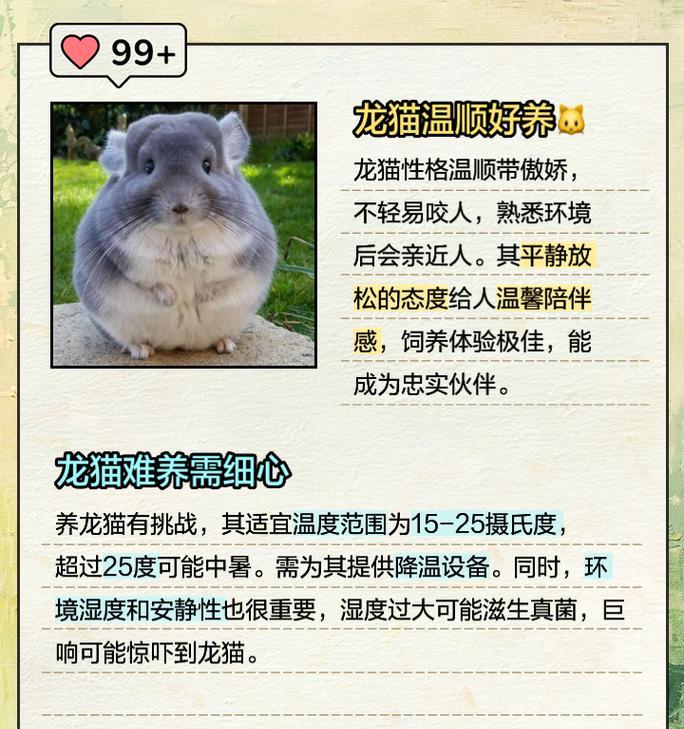 龙猫粮中添加豆粕的利弊是什么？