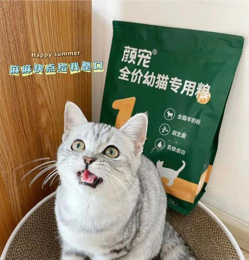 五个月大的猫咪应该吃什么猫粮？