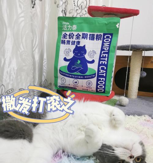 吃猫粮导致火气旺应如何调理？需要服用什么药物？