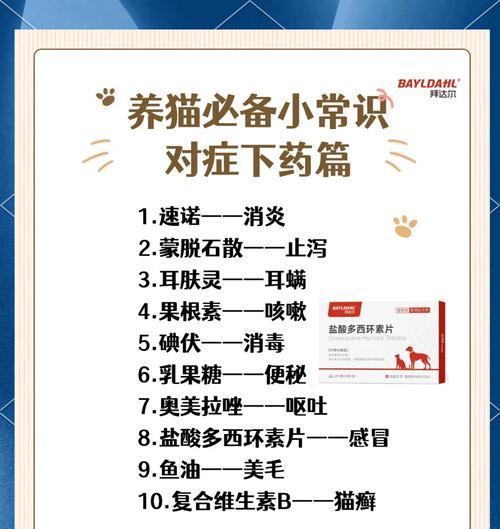 吃猫粮导致火气旺应如何调理？需要服用什么药物？