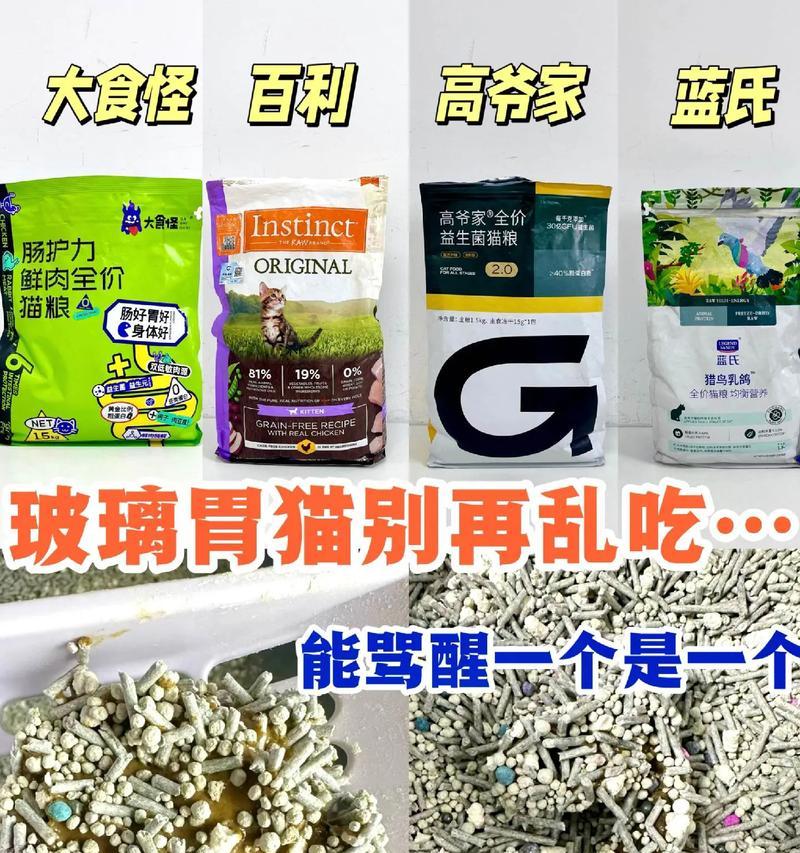 猫咪软便时应选择哪种猫粮？
