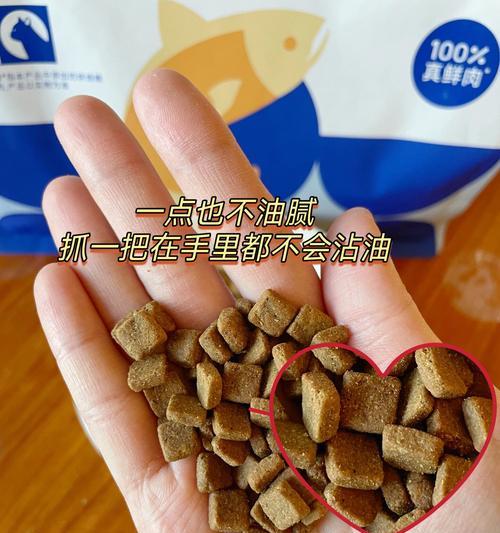 什么猫吃软粮不掉毛？软粮对猫咪毛发有何影响？