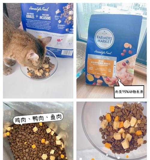 猫咪泪痕重吃什么口味猫粮？哪种口味更合适？