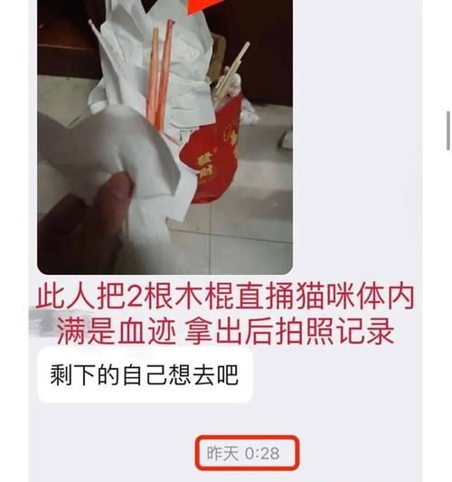 猫咪投粮被虐猫怎么办？如何处理猫咪投粮时的虐待问题？