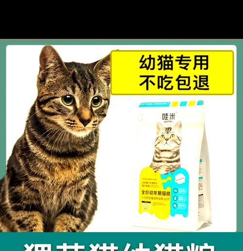 狸猫是否需要猫粮？为何不吃饭？