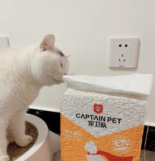 猫粮用沙子做的是什么食物？猫粮中沙子的作用是什么？