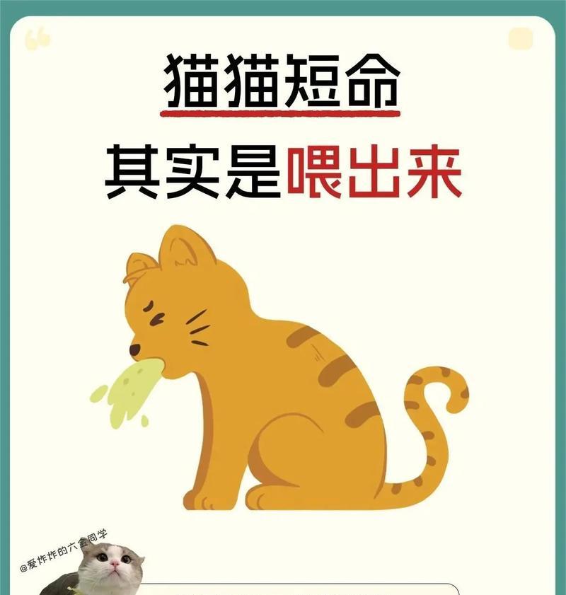 狗狗为何吃猫粮？小猫护食行为如何纠正？