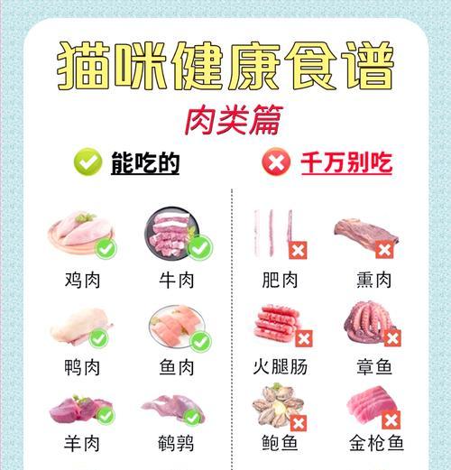 给猫咪大量食物的正确名称是什么？如何合理控制猫咪的食量？