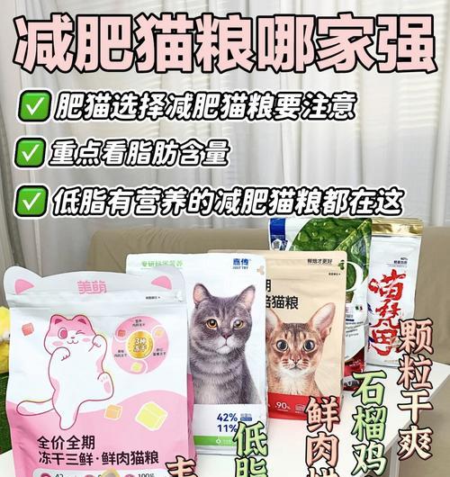 胖子带货的猫粮效果如何？消费者评价是什么？