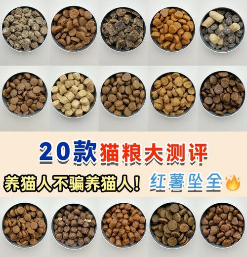 怀孕猫咪适合的猫粮选择是什么？