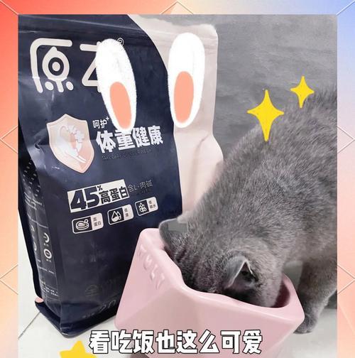 如何让蓝猫乖乖吃猫粮？