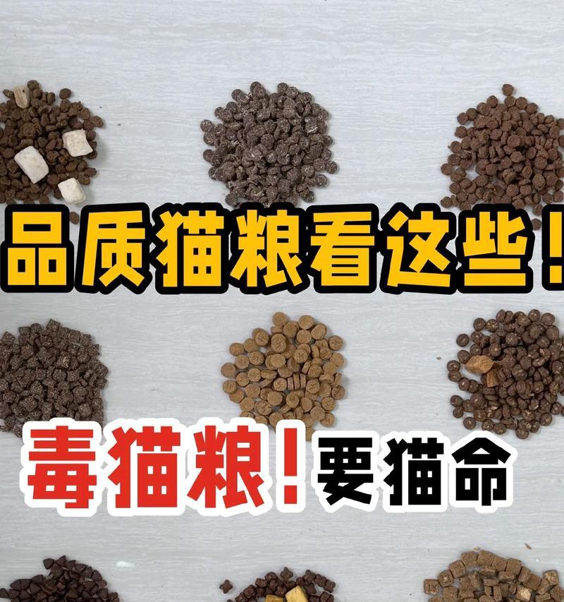 毒粮猫粮应该如何处理？这种猫粮真的好吃吗？