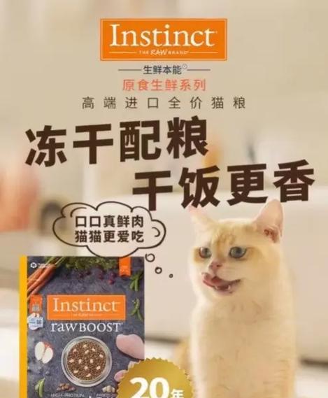 学校提供猫粮违法吗怎么处理？合法提供猫粮的条件是什么？