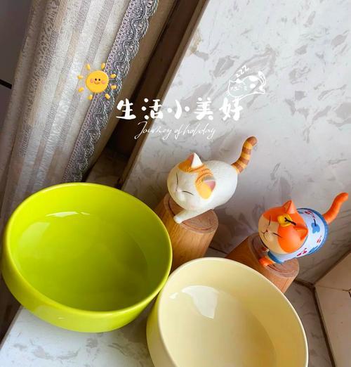 猫粮瓷碗损坏了应该怎么办？有哪些替代品可以使用？