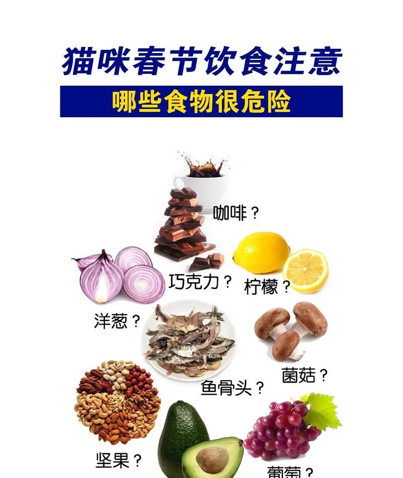 猫咪只吃猫粮不吃其他食物的原因是什么？如何改善猫咪的饮食习惯？