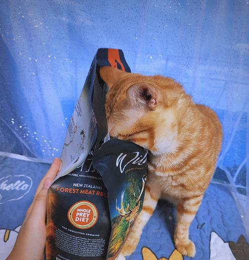 猫粮作为增肌餐的正确搭配是什么？