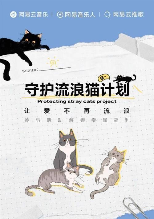 买猫粮送猫的活动如何参与？