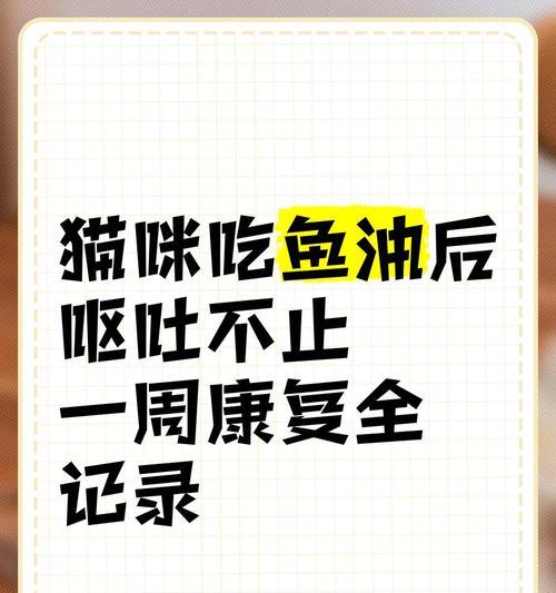 小猫呕吐后禁食多久可以恢复？