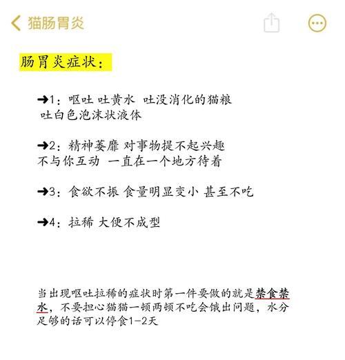 小猫呕吐后禁食多久可以恢复？