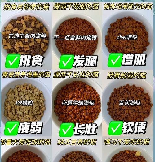 猫粮哑光和亮光有什么区别？如何选择适合猫咪的猫粮？