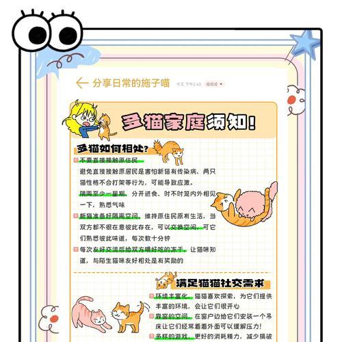 小孩偷吃猫粮如何教育？怎样防止类似情况？