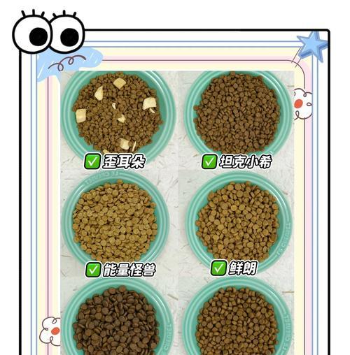 美毛猫粮的正确喂食方法是什么？