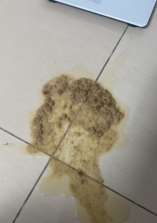 猫咪吃生骨肉猫粮会呕吐吗？