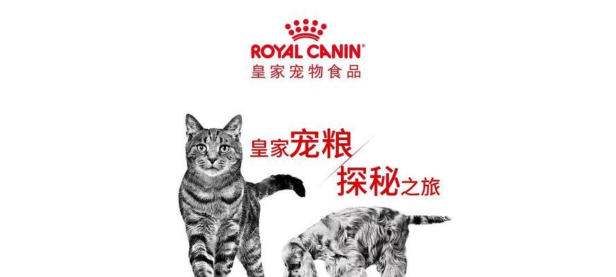 八岁猫吃皇家什么粮比较好