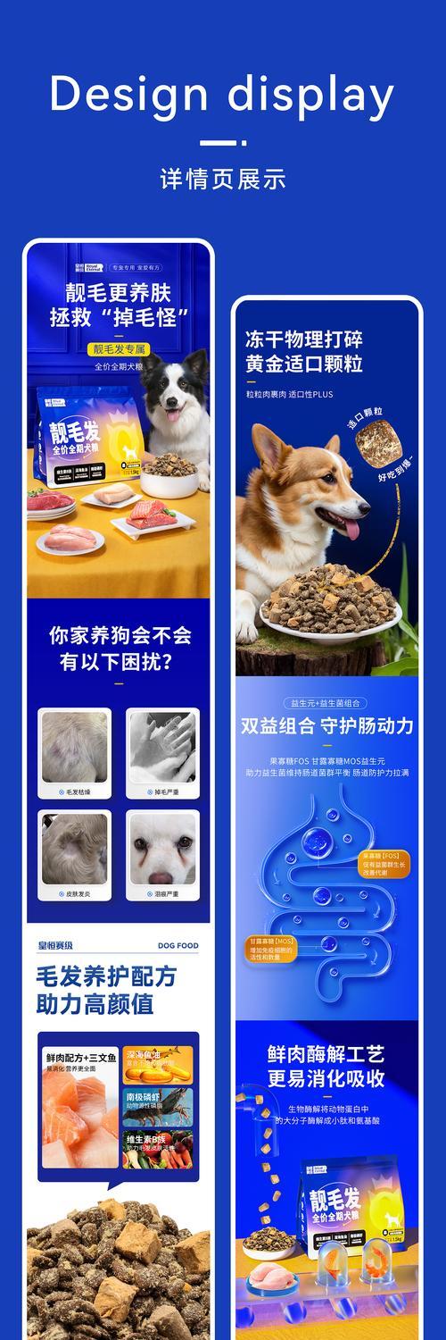 磐石哪里可以买到猫粮？