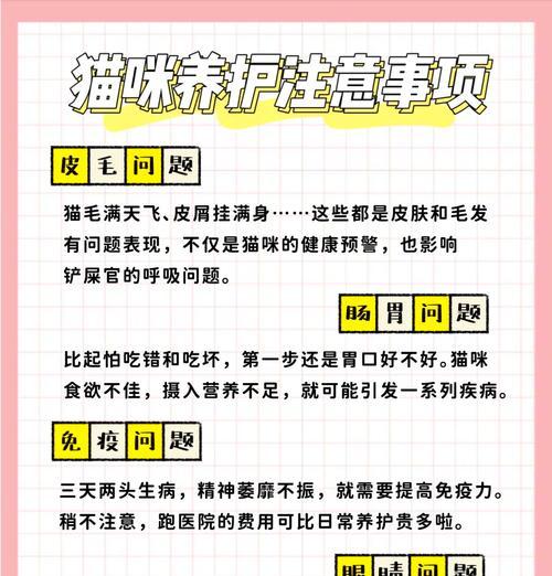 小猫长期吃猫粮会有生命危险吗？