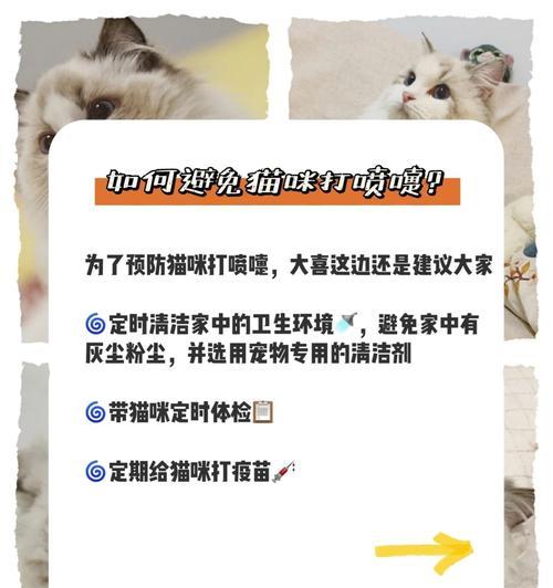 打喷嚏的猫要吃什么猫粮