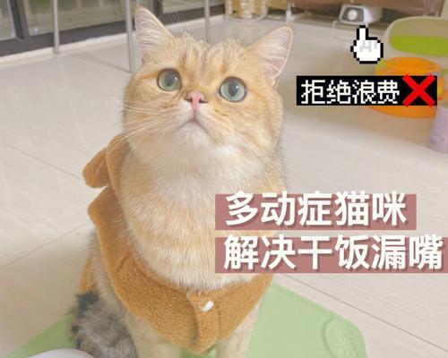 猫进新窝里扒拉猫粮会怎么样？猫进新窝后扒拉猫粮的行为是否正常？