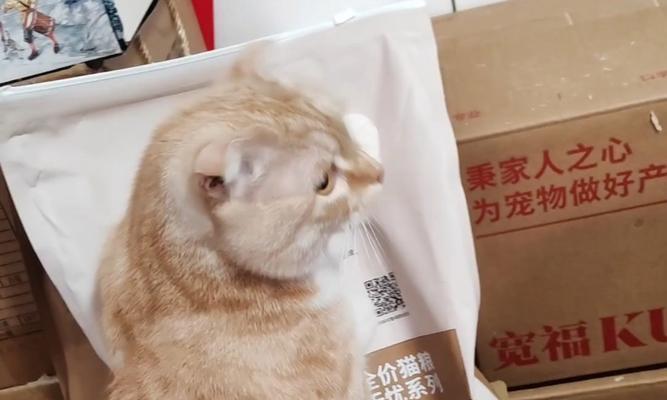 猫进新窝里扒拉猫粮会怎么样？猫进新窝后扒拉猫粮的行为是否正常？
