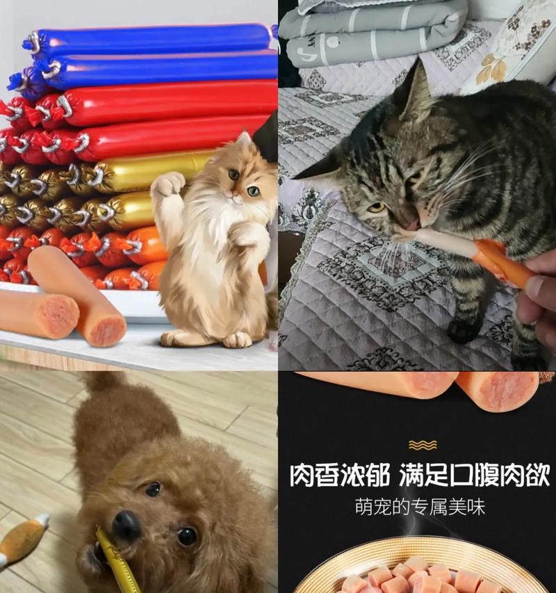 幼猫食用宠物火腿：安全吗？有何影响？