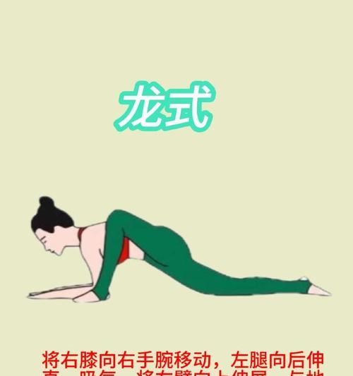 羊驼如何正确使用弓箭？有哪些训练方法？