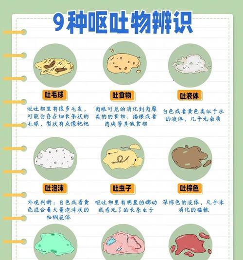 猫吐猫粮还很瘦是正常现象吗？可能的原因是什么？