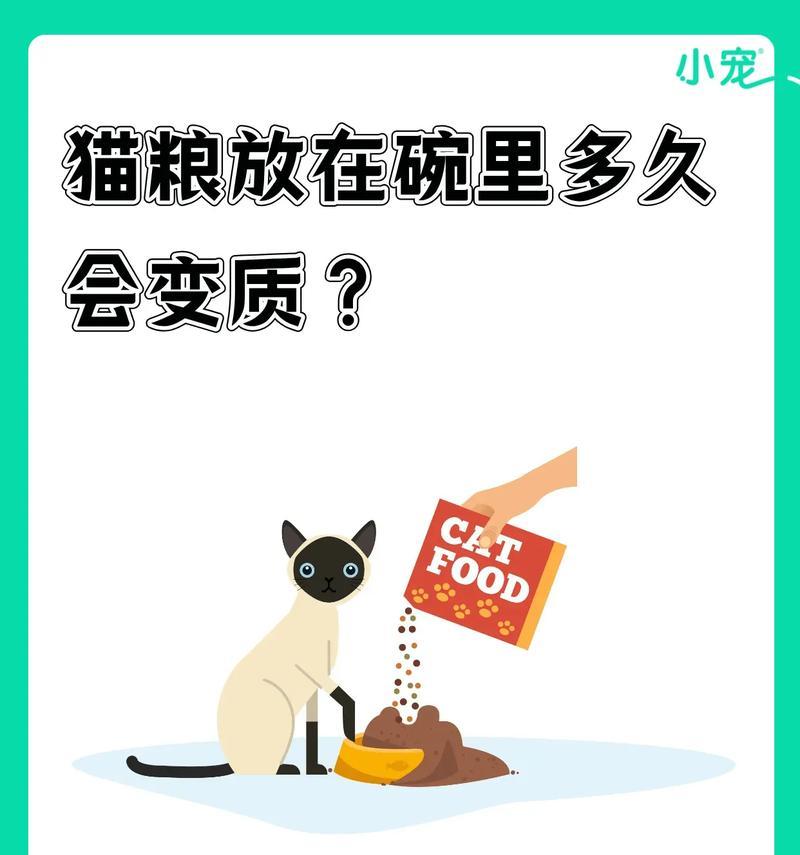 猫经常打翻猫粮是怎么回事？是否需要更换猫粮碗？