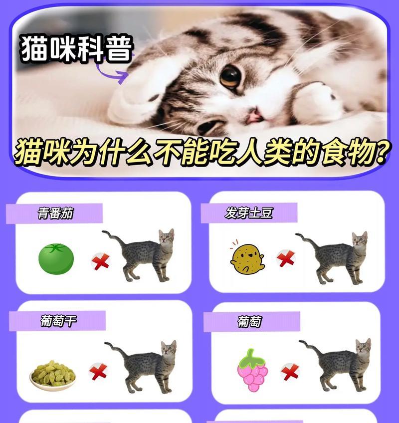 哪些猫咪可以吃人类的食物而不吃猫粮？有哪些注意事项？