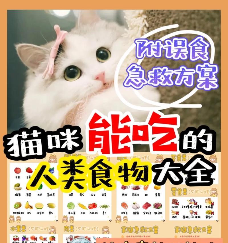 哪些猫咪可以吃人类的食物而不吃猫粮？有哪些注意事项？