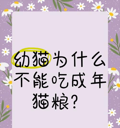 成猫突然不进食猫粮是为什么？如何应对？