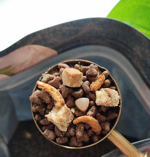 喂猫粮需要拌什么吃？有哪些增加食欲的小窍门？
