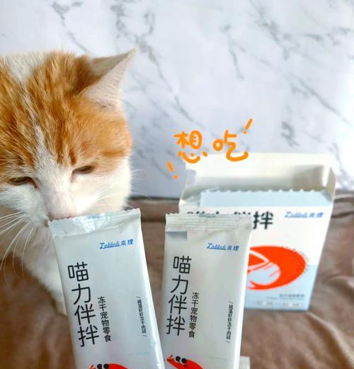 喂猫粮需要拌什么吃？有哪些增加食欲的小窍门？