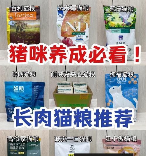 如何正确使用猫粮盘子？