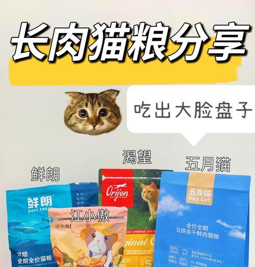 如何正确使用猫粮盘子？
