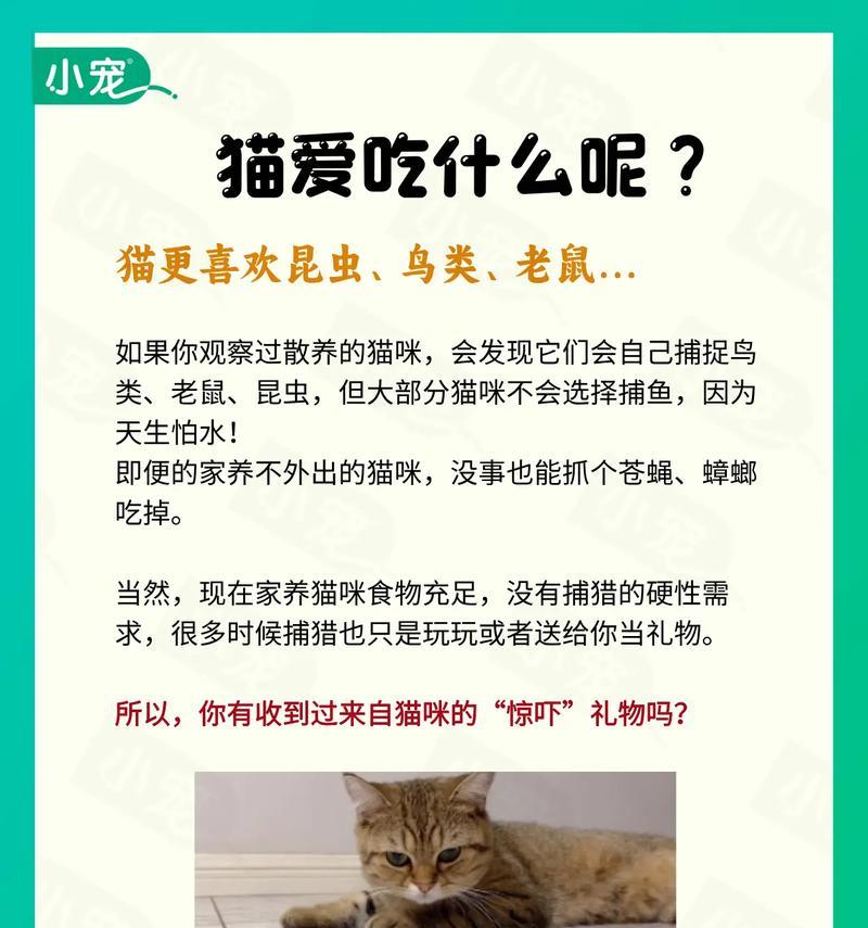 吃了猫粮的鱼还能吃吗为什么？猫粮对鱼类的影响是什么？