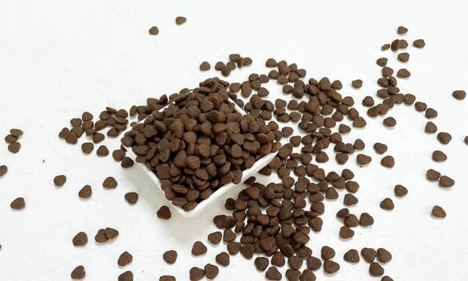 猫咪食用哪些猫粮可能导致大便变黑？