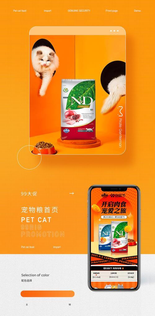 伊宁市猫粮促销活动详情？