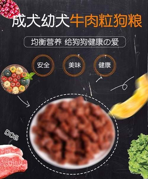 伊宁市猫粮促销活动详情？