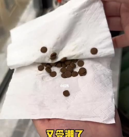 猫粮碗里的猫粮怎么就会不潮湿