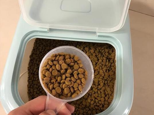 猫粮碗里的猫粮怎么就会不潮湿